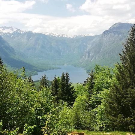 Apartment Ana Bohinj Buitenkant foto