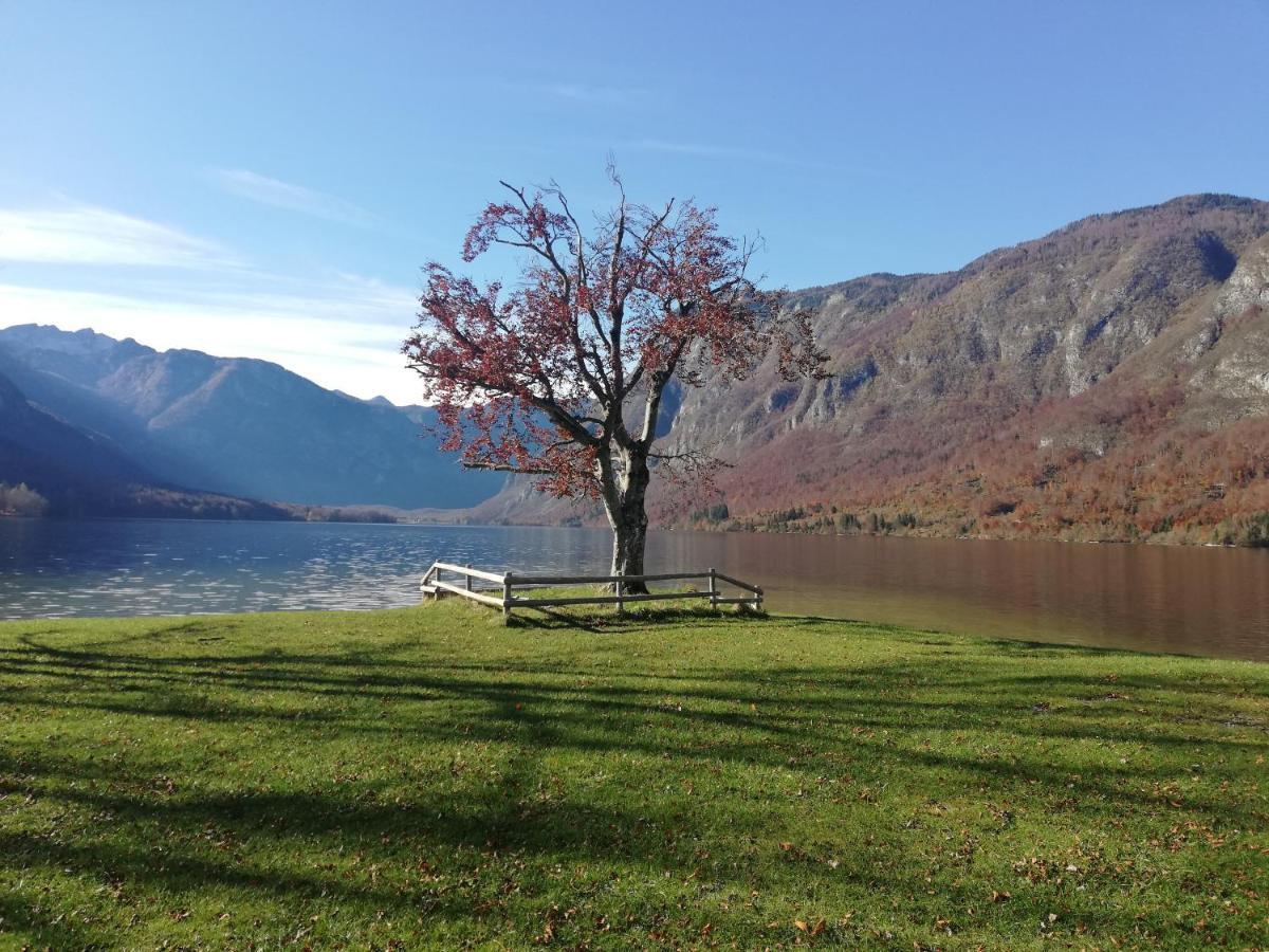 Apartment Ana Bohinj Buitenkant foto