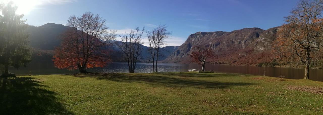 Apartment Ana Bohinj Buitenkant foto