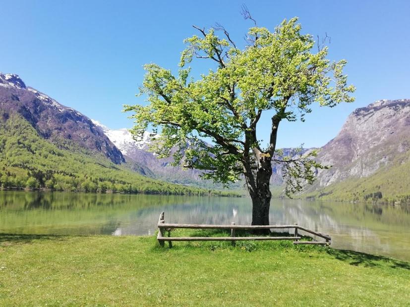 Apartment Ana Bohinj Buitenkant foto