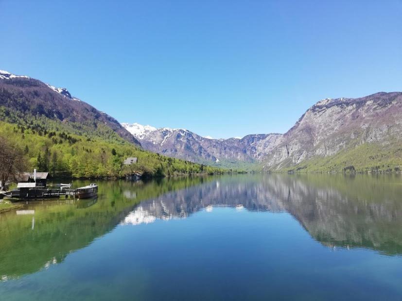 Apartment Ana Bohinj Buitenkant foto