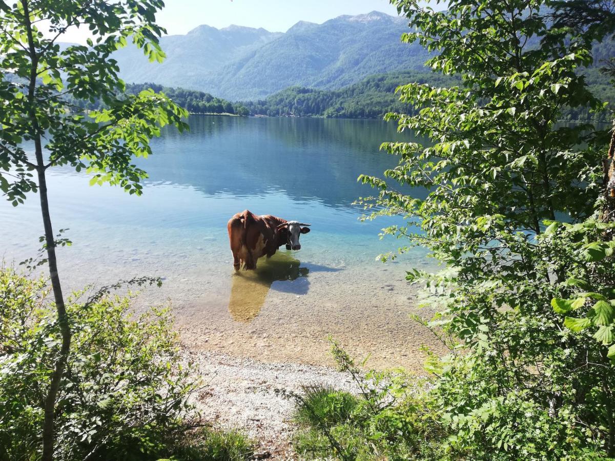 Apartment Ana Bohinj Buitenkant foto