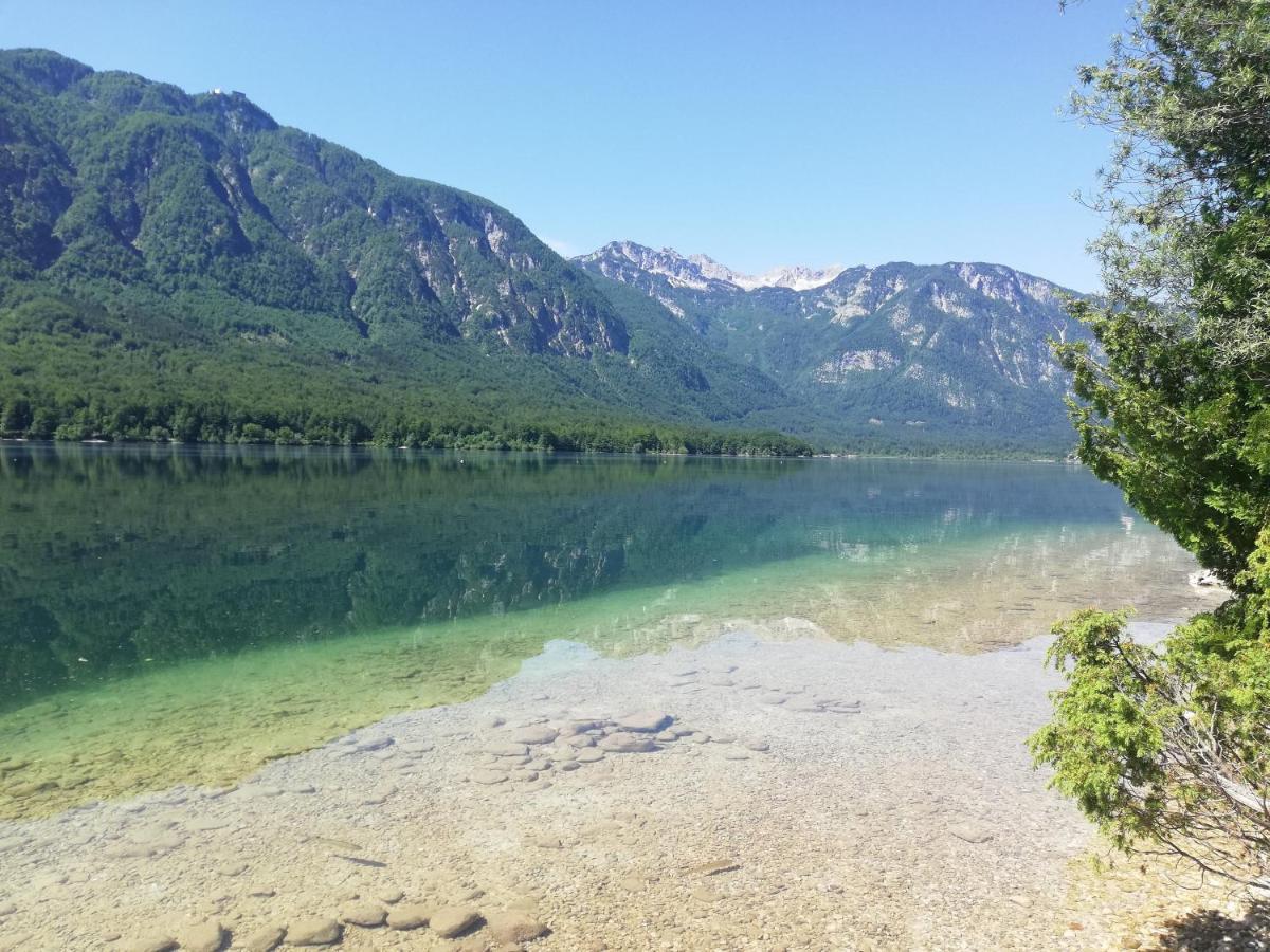 Apartment Ana Bohinj Buitenkant foto
