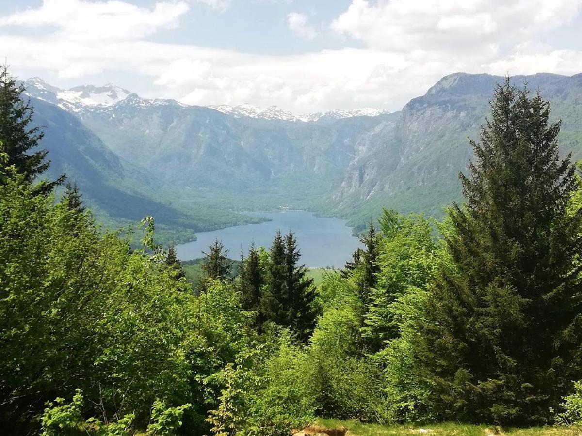 Apartment Ana Bohinj Buitenkant foto