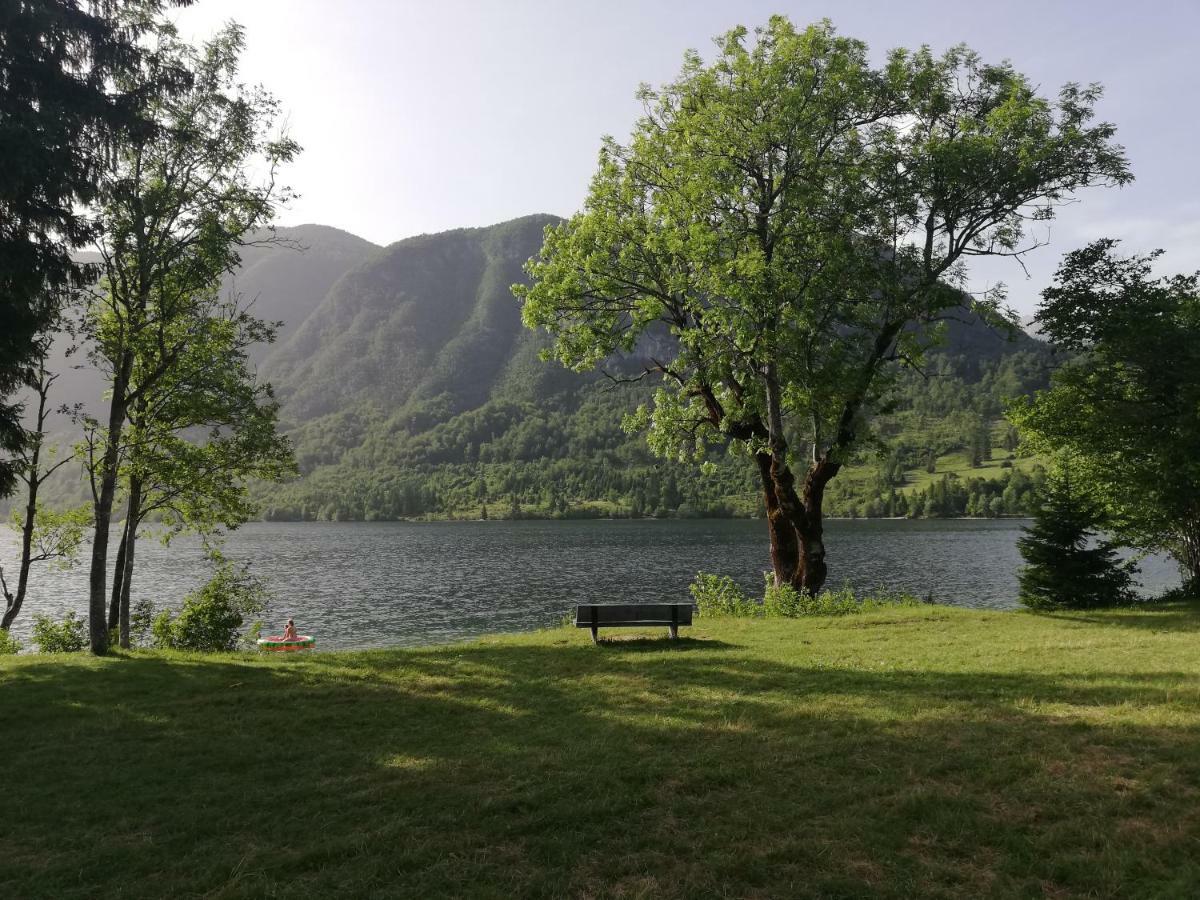 Apartment Ana Bohinj Buitenkant foto