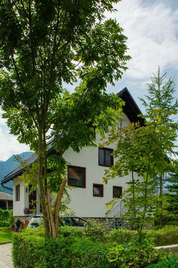 Apartment Ana Bohinj Buitenkant foto