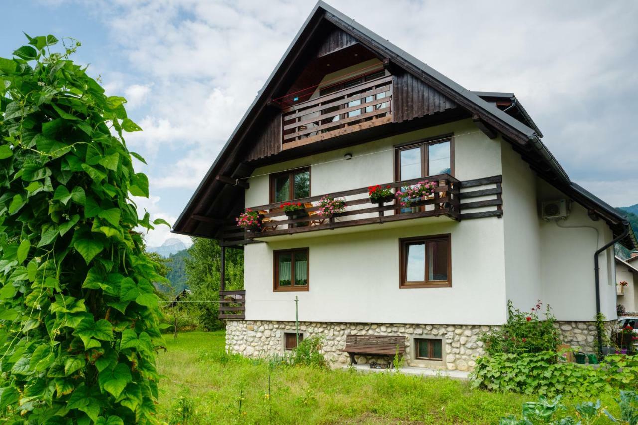 Apartment Ana Bohinj Buitenkant foto